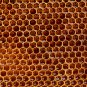 Honeycomb